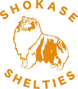 Shokase Shelties Logo